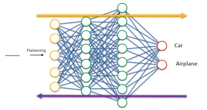 CNN & its various Layers