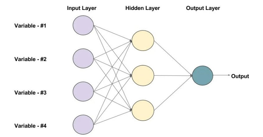 Feed Forward Network
