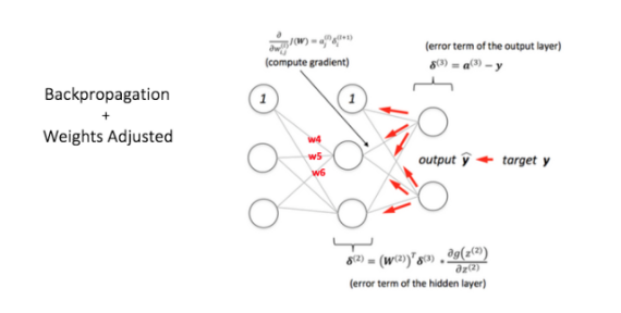Multi Layer Perceptron (MLP)
