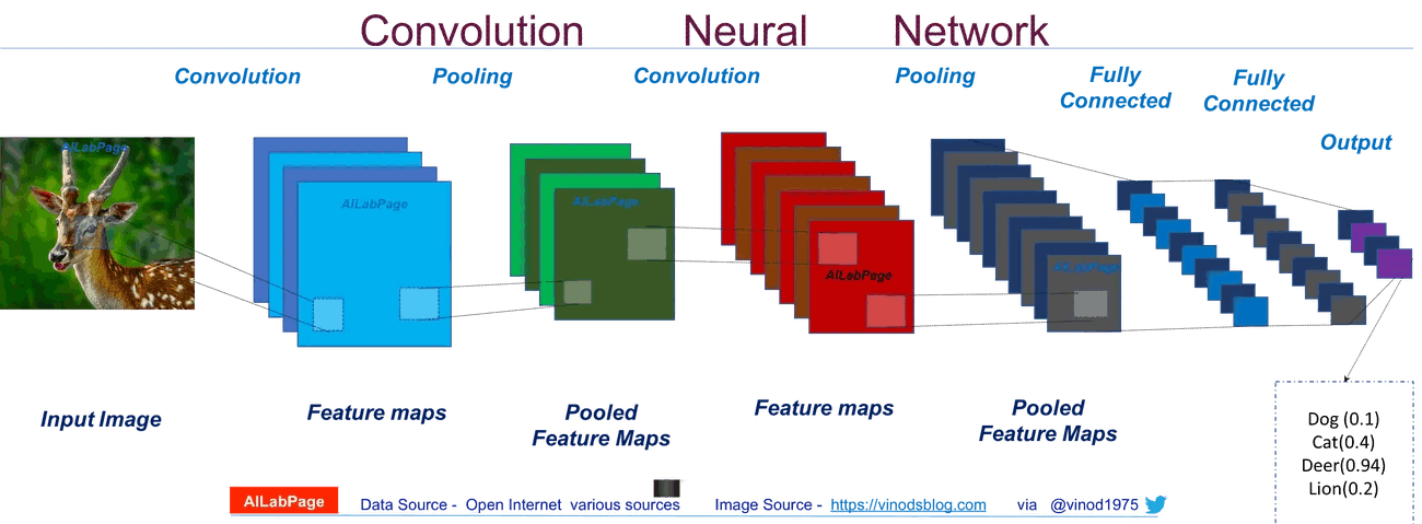 Convolutional Neural Network (CNN)