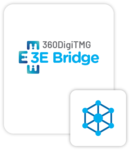 About The 3E Bridge