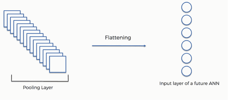 CNN & its various Layers
