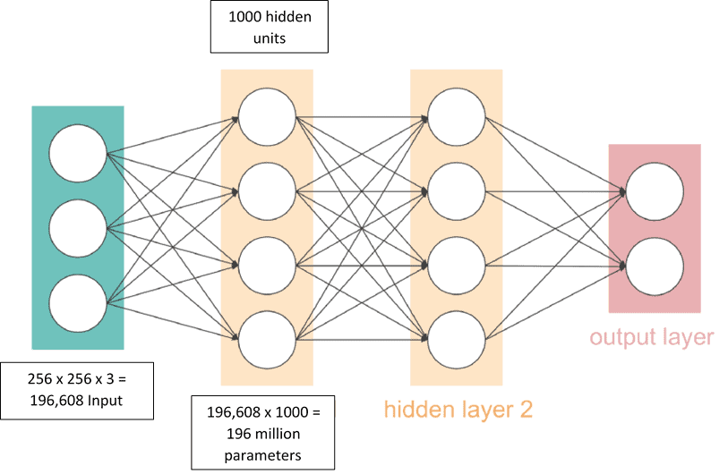 CNN & its various Layers