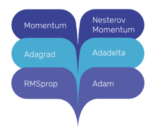 Perceptron Algorithm