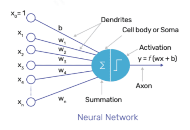 Perceptron Algorithm