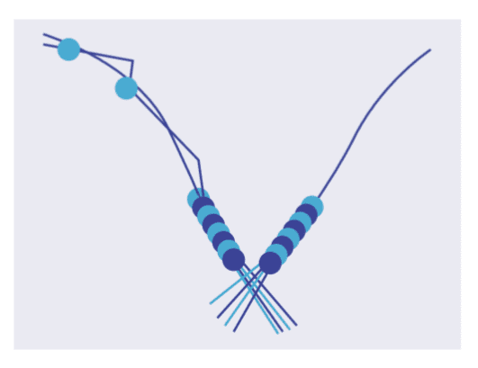 Perceptron Algorithm